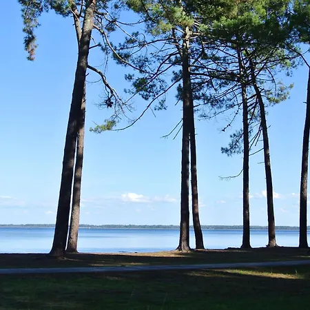 Semesterbostad Jolie Maison 2 Avec Jardin Proche Lac, Ideale Pour - Fr-1-877-53 Sanguinet